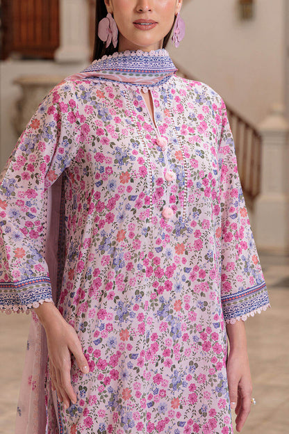 3 Piece Printed Lawn Suit and Dyed Trouser CL-62120 B